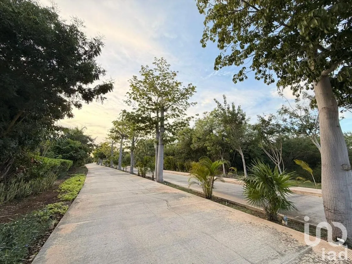 Casa en Venta en Xcanatún, Mérida, Yucatán | NEX-278768 | iad México | Foto 15 de 19