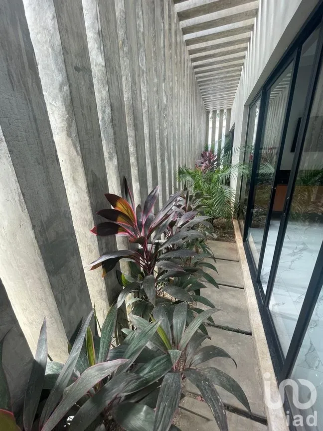 Oficina en Venta en Benito Juárez Ote, Mérida, Yucatán | NEX-281832 | iad México | Foto 10 de 14