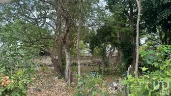 NEX-287978 - Terreno en Venta.