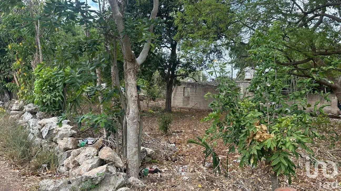 Terreno en Venta en Cholul, Mérida, Yucatán | NEX-287979 | iad México | Foto 3 de 10