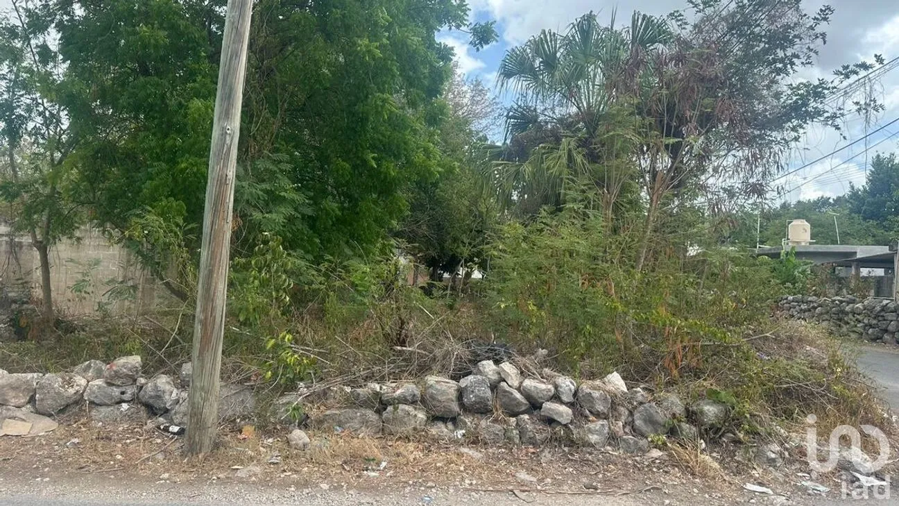 Terreno en Venta en Cholul, Mérida, Yucatán | NEX-287979 | iad México | Foto 6 de 10
