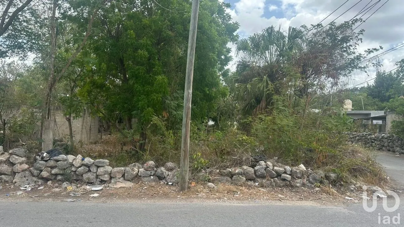 Terreno en Venta en Cholul, Mérida, Yucatán | NEX-287979 | iad México | Foto 8 de 10