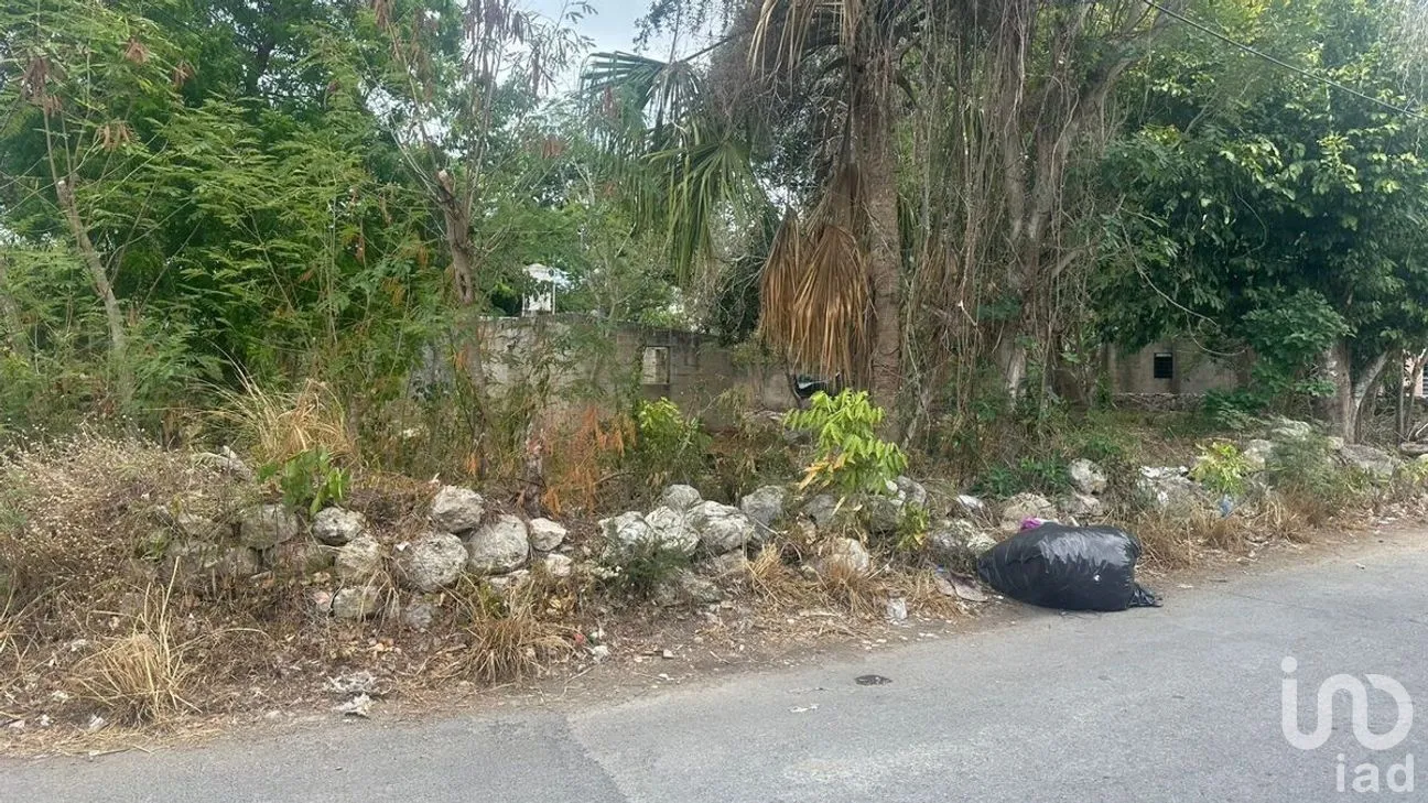 Terreno en Venta en Cholul, Mérida, Yucatán | NEX-287979 | iad México | Foto 9 de 10