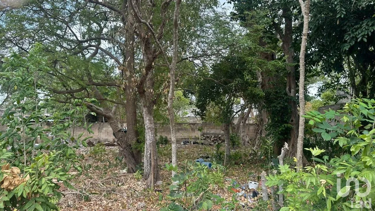 Terreno en Venta en Cholul, Mérida, Yucatán | NEX-287979 | iad México | Foto 1 de 10