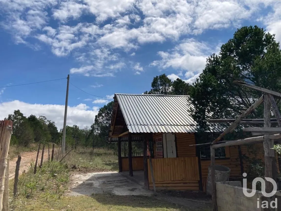 Terreno en Venta en Los Lirios, Arteaga, Coahuila de Zaragoza | NEX-185905 | iad México | Foto 2 de 7