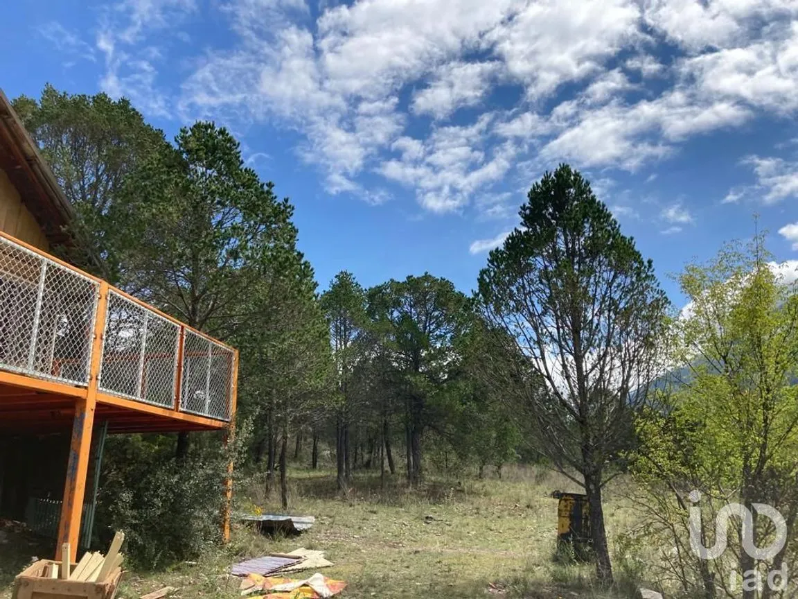 Terreno en Venta en Los Lirios, Arteaga, Coahuila de Zaragoza | NEX-185905 | iad México | Foto 3 de 7