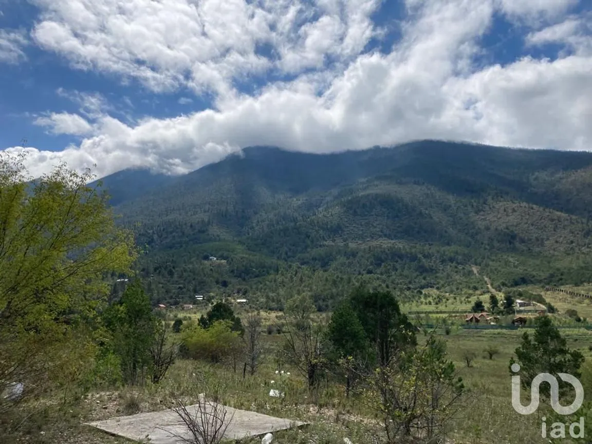 Terreno en Venta en Los Lirios, Arteaga, Coahuila de Zaragoza | NEX-185905 | iad México | Foto 4 de 7