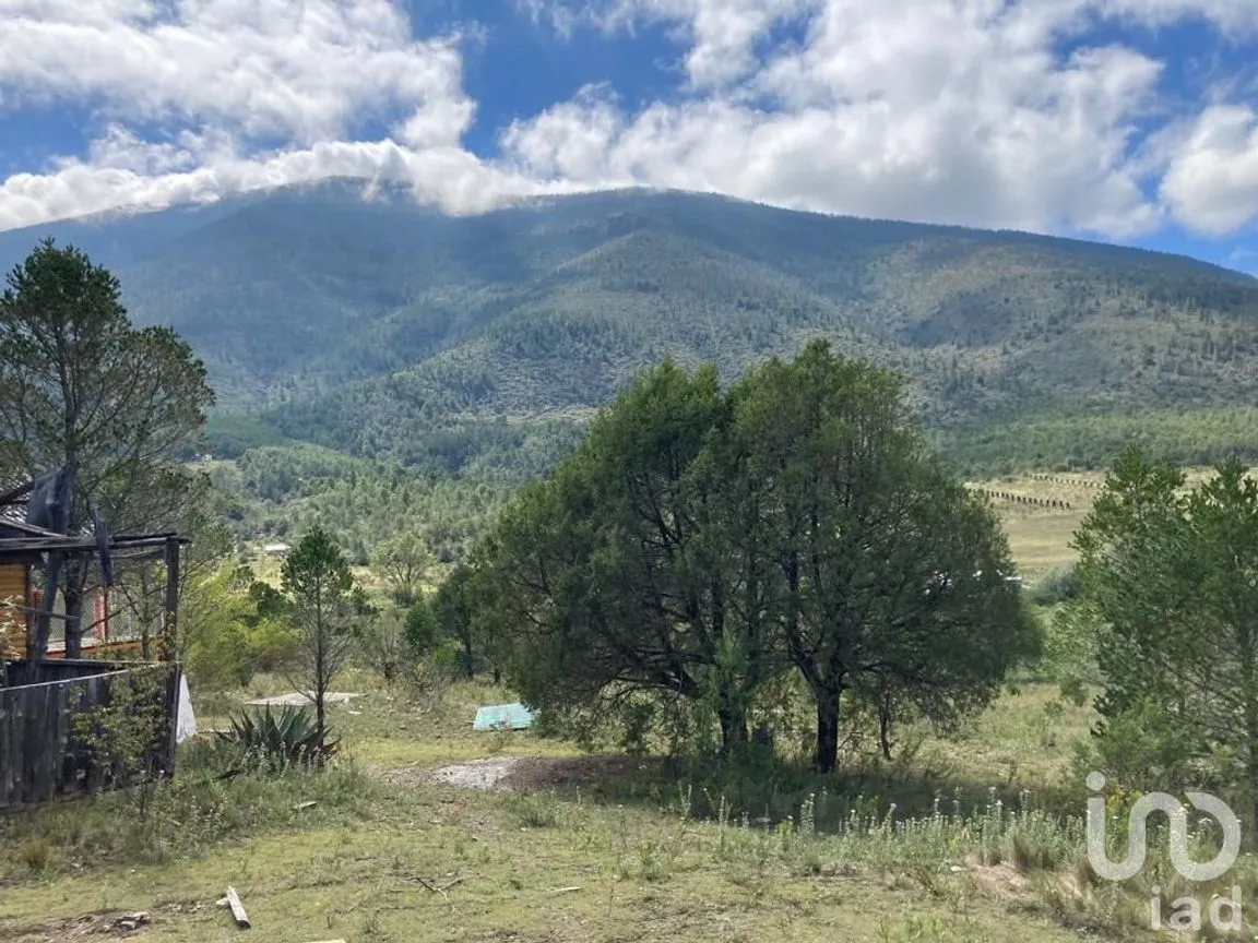 Terreno en Venta en Los Lirios, Arteaga, Coahuila de Zaragoza | NEX-185905 | iad México | Foto 5 de 7
