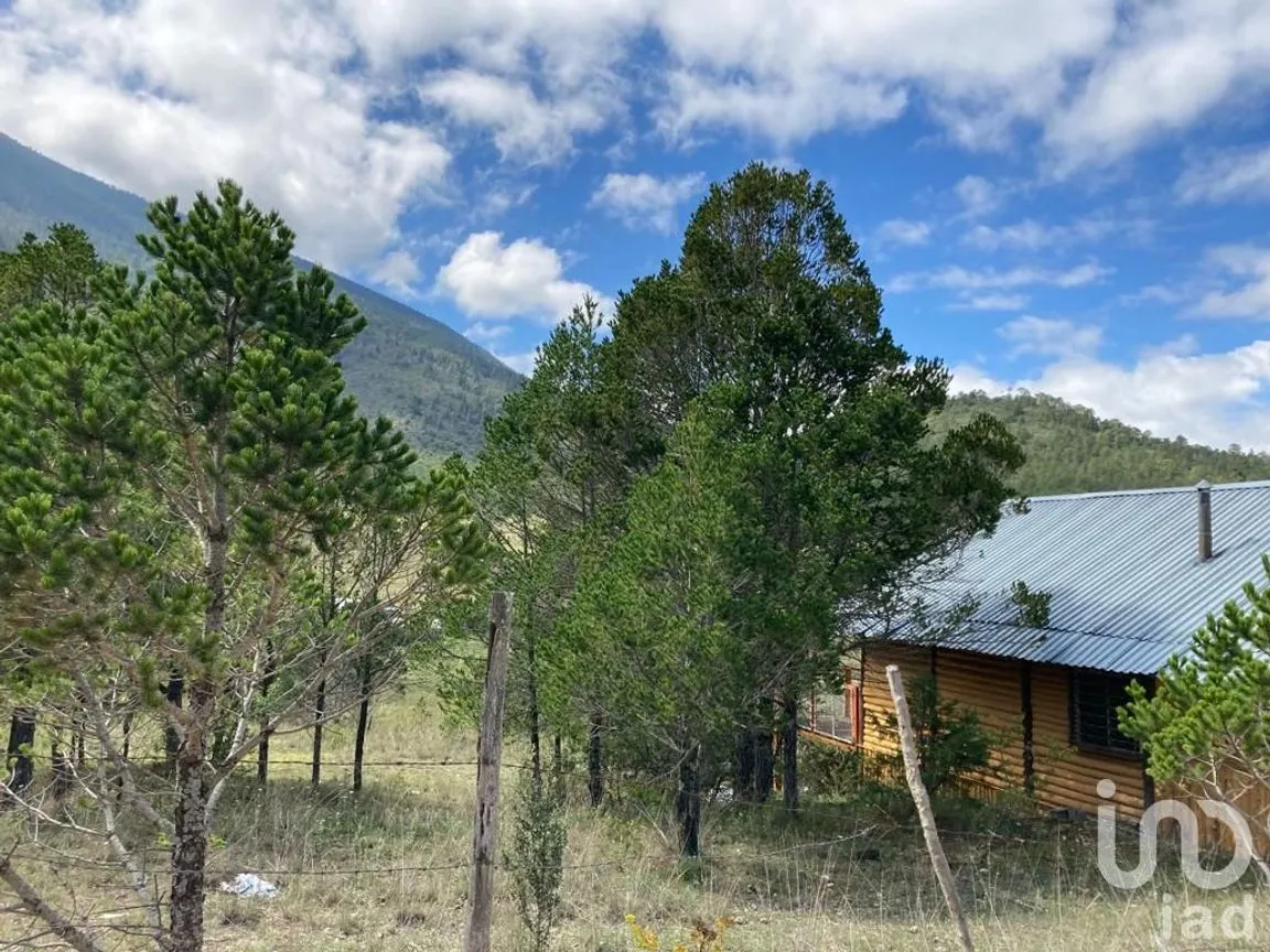 Terreno en Venta en Los Lirios, Arteaga, Coahuila de Zaragoza | NEX-185905 | iad México | Foto 6 de 7