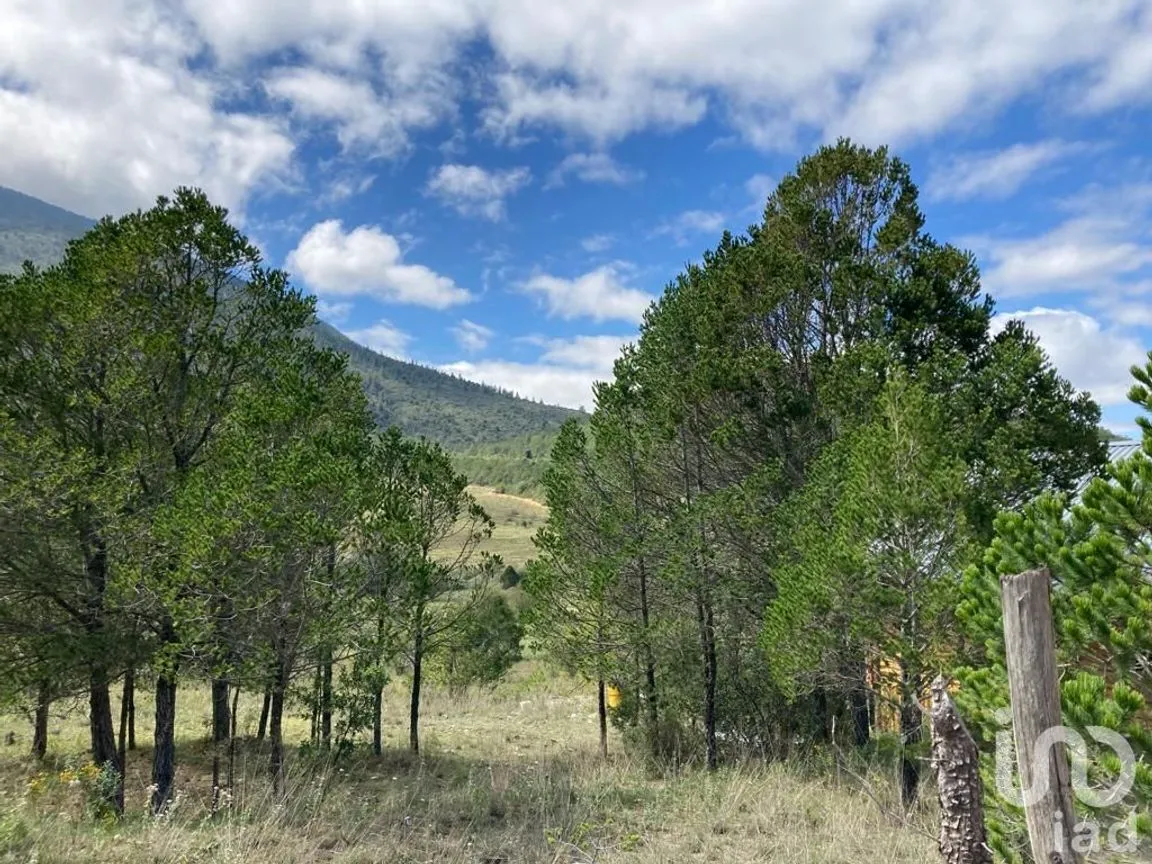 Terreno en Venta en Los Lirios, Arteaga, Coahuila de Zaragoza | NEX-185905 | iad México | Foto 7 de 7