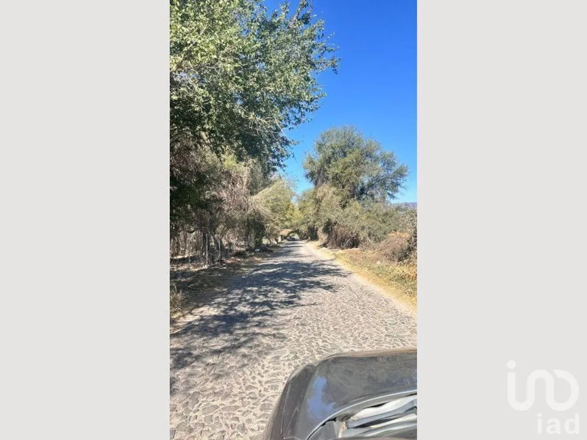 Terreno en Venta en Chapala Centro, Chapala, Jalisco | NEX-228183 | iad México | Foto 6 de 7