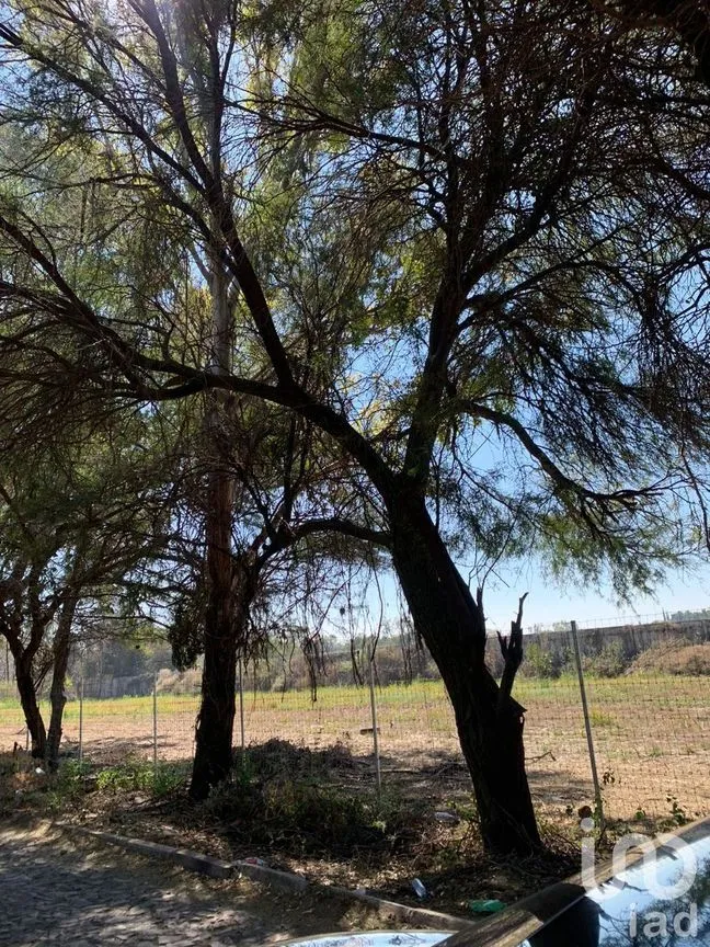 Terreno en Venta en Chapala Centro, Chapala, Jalisco | NEX-228184 | iad México | Foto 11 de 19