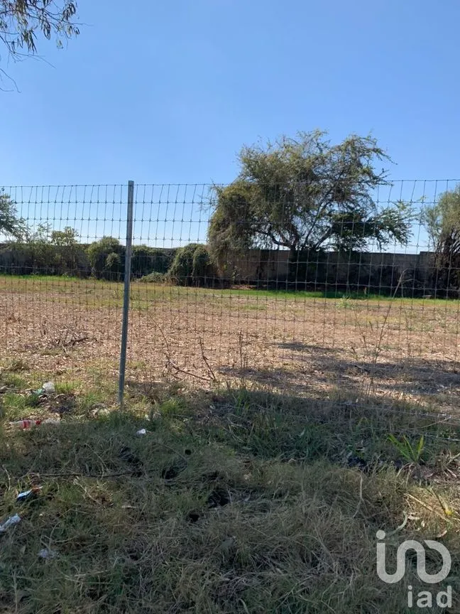 Terreno en Venta en Chapala Centro, Chapala, Jalisco | NEX-228184 | iad México | Foto 12 de 19