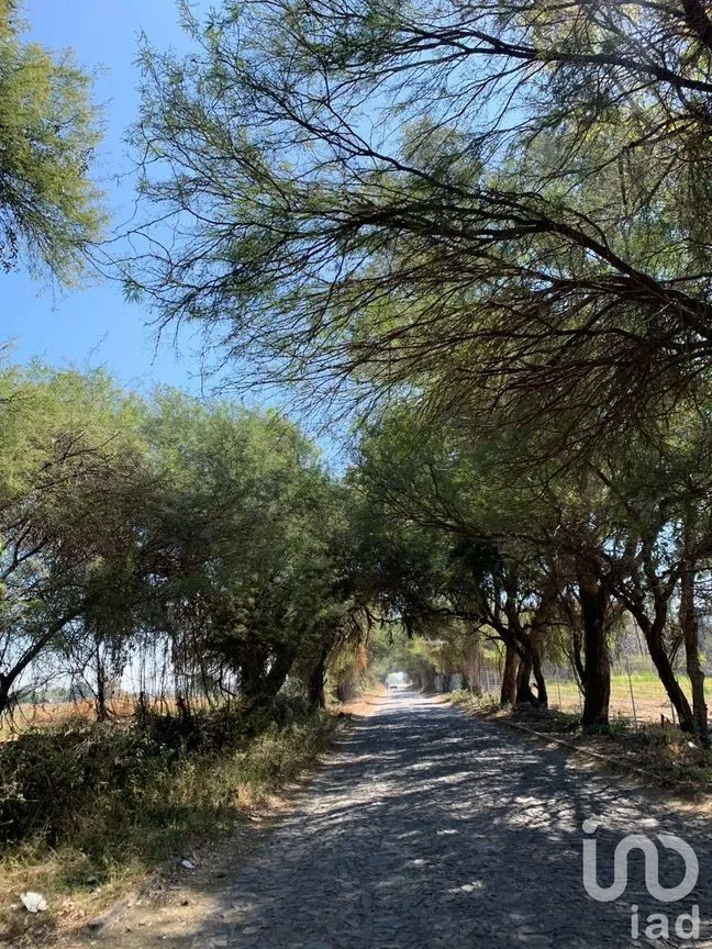 Terreno en Venta en Chapala Centro, Chapala, Jalisco | NEX-228184 | iad México | Foto 14 de 19