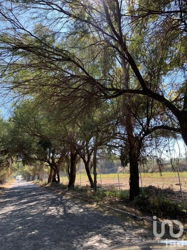 Terreno en Venta en Chapala Centro, Chapala, Jalisco | NEX-228184 | iad México | Foto 15 de 19