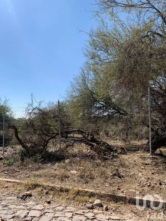Terreno en Venta en Chapala Centro, Chapala, Jalisco | NEX-228184 | iad México | Foto 17 de 19