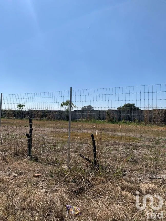 Terreno en Venta en Chapala Centro, Chapala, Jalisco | NEX-228184 | iad México | Foto 9 de 19