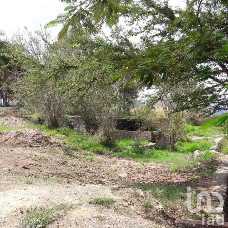 Terreno en Venta en Colinas Del Centinela, Zapopan, Jalisco | NEX-273385 | iad México | Foto 4 de 9