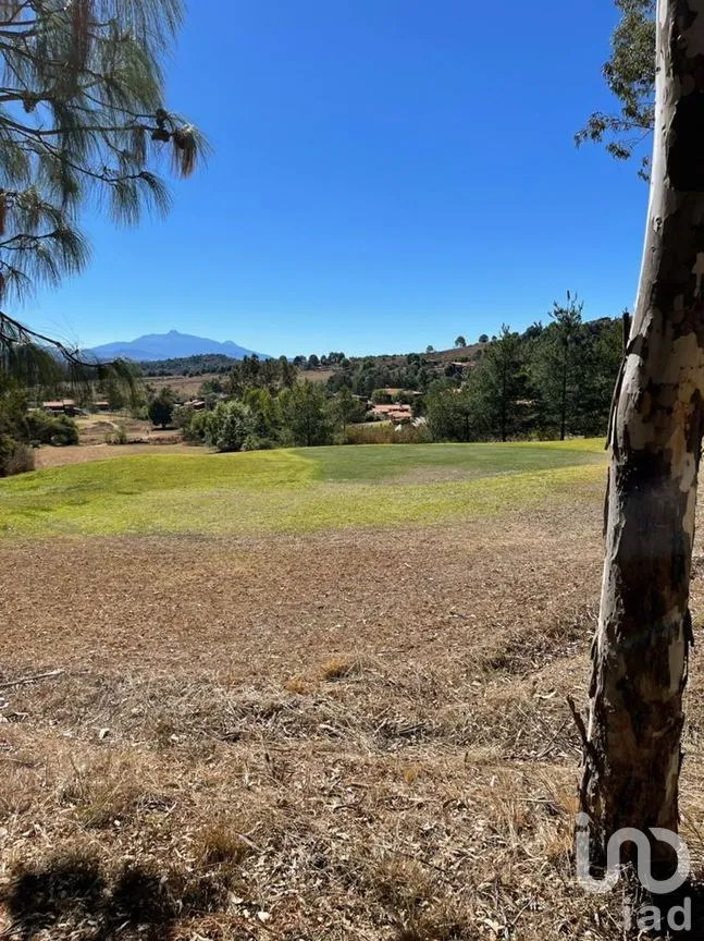 Terreno en Venta en Tapalpa, Tapalpa, Jalisco | NEX-273392 | iad México | Foto 6 de 9