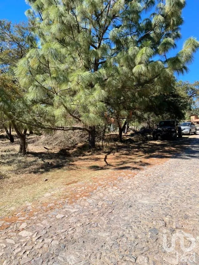 Terreno en Venta en Tapalpa, Tapalpa, Jalisco | NEX-273392 | iad México | Foto 9 de 9