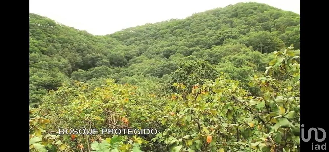 Terreno en Venta en El Arenal, El Arenal, Jalisco | NEX-273403 | iad México | Foto 22 de 32