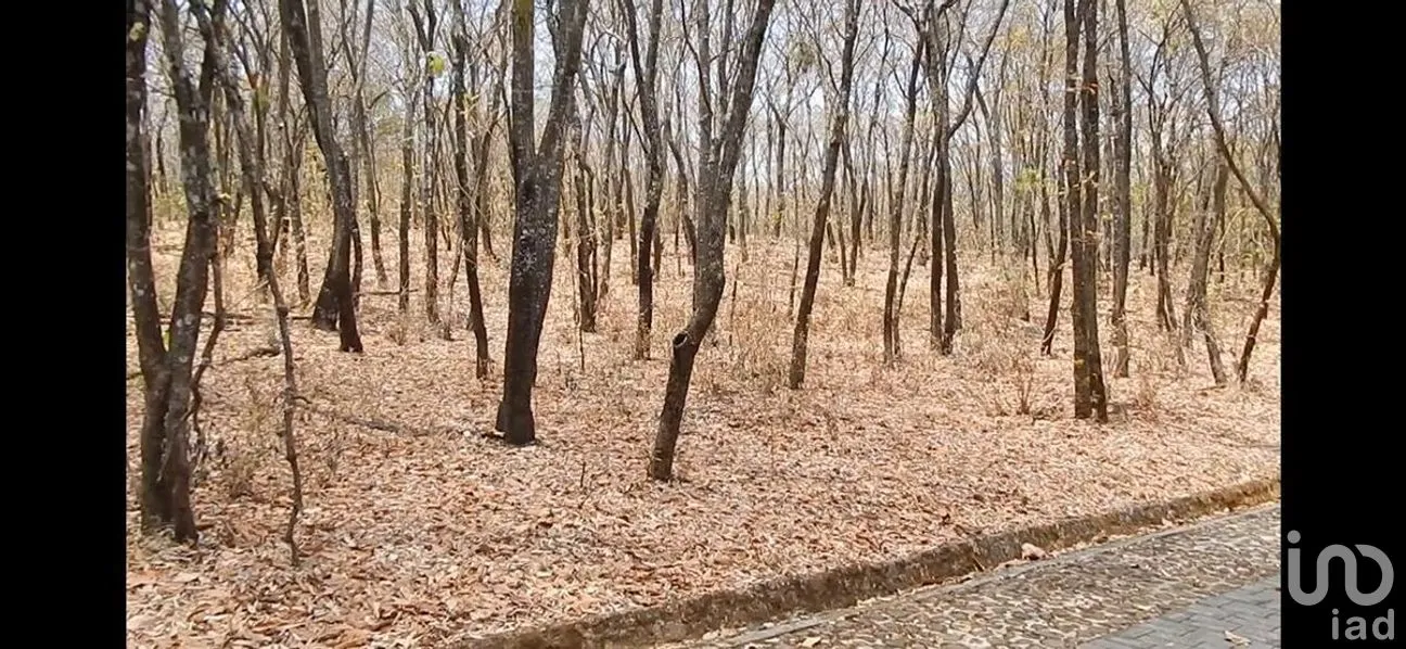 Terreno en Venta en El Arenal, El Arenal, Jalisco | NEX-273403 | iad México | Foto 30 de 32