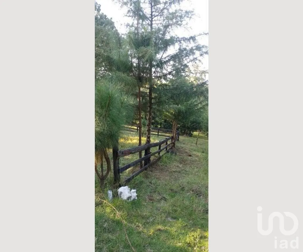 Terreno en Venta en Mazamitla, Mazamitla, Jalisco | NEX-273406 | iad México | Foto 2 de 18
