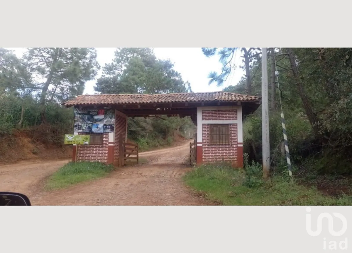 Terreno en Venta en Mazamitla, Mazamitla, Jalisco | NEX-273406 | iad México | Foto 11 de 18