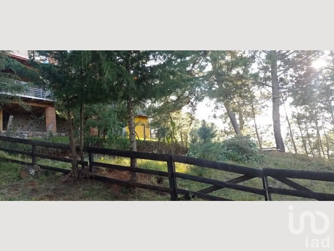 Terreno en Venta en Mazamitla, Mazamitla, Jalisco | NEX-273406 | iad México | Foto 15 de 18