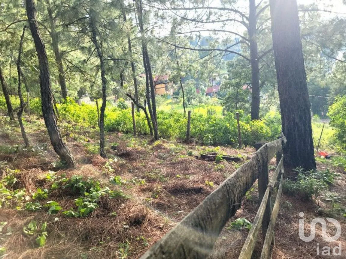 Terreno en Venta en Mazamitla, Mazamitla, Jalisco | NEX-273406 | iad México | Foto 18 de 18