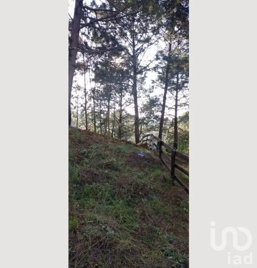 Terreno en Venta en Mazamitla, Mazamitla, Jalisco | NEX-273406 | iad México | Foto 3 de 18