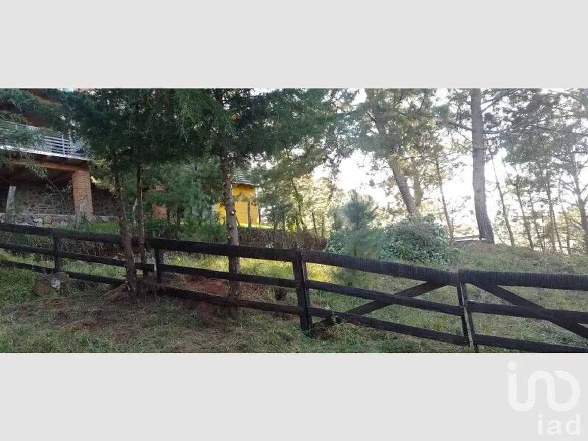 Terreno en Venta en Mazamitla, Mazamitla, Jalisco | NEX-273406 | iad México | Foto 4 de 18