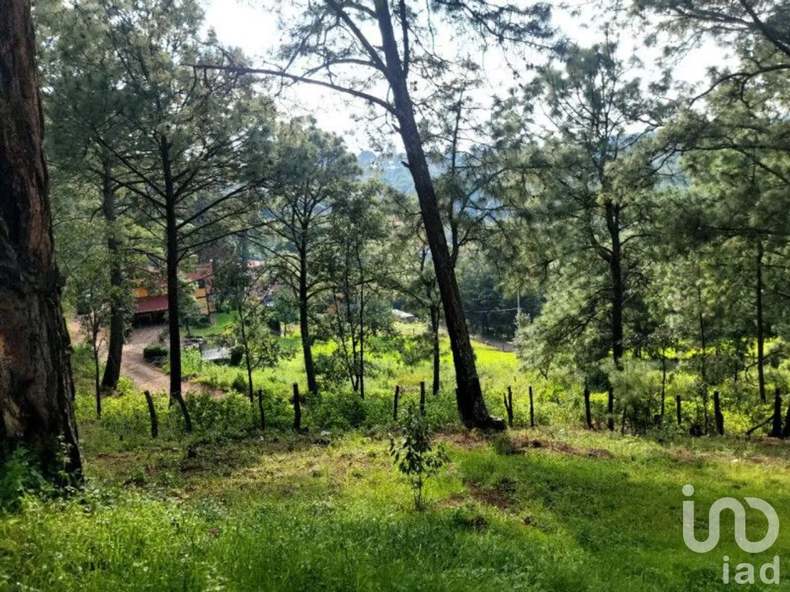Terreno en Venta en Mazamitla, Mazamitla, Jalisco | NEX-273406 | iad México | Foto 8 de 18