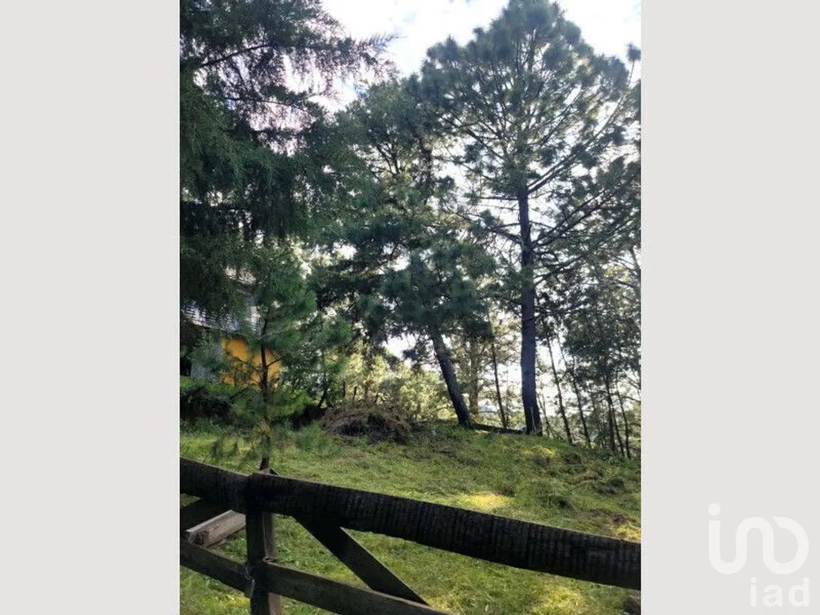 Terreno en Venta en Mazamitla, Mazamitla, Jalisco | NEX-273406 | iad México | Foto 9 de 18