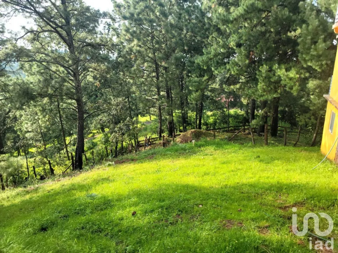 Terreno en Venta en Mazamitla, Mazamitla, Jalisco | NEX-273406 | iad México | Foto 10 de 18
