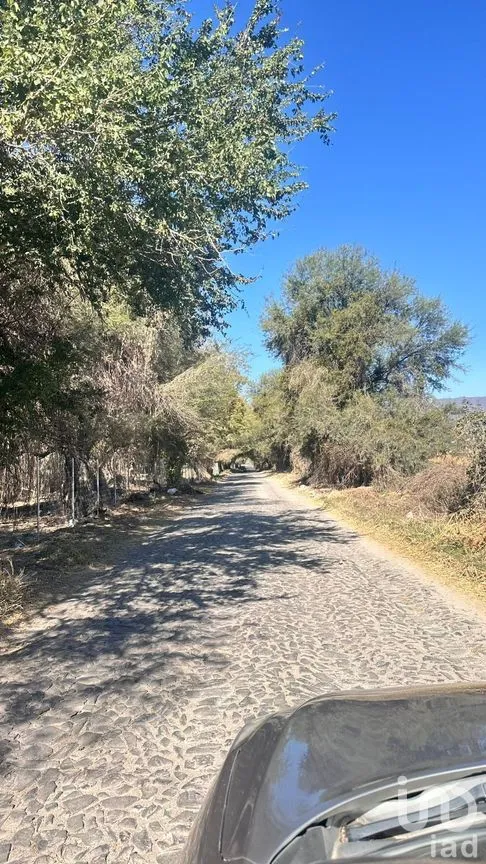 Terreno en Venta en Chapala Centro, Chapala, Jalisco | NEX-273426 | iad México | Foto 11 de 19