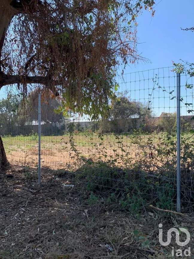 Terreno en Venta en Chapala Centro, Chapala, Jalisco | NEX-273426 | iad México | Foto 15 de 19