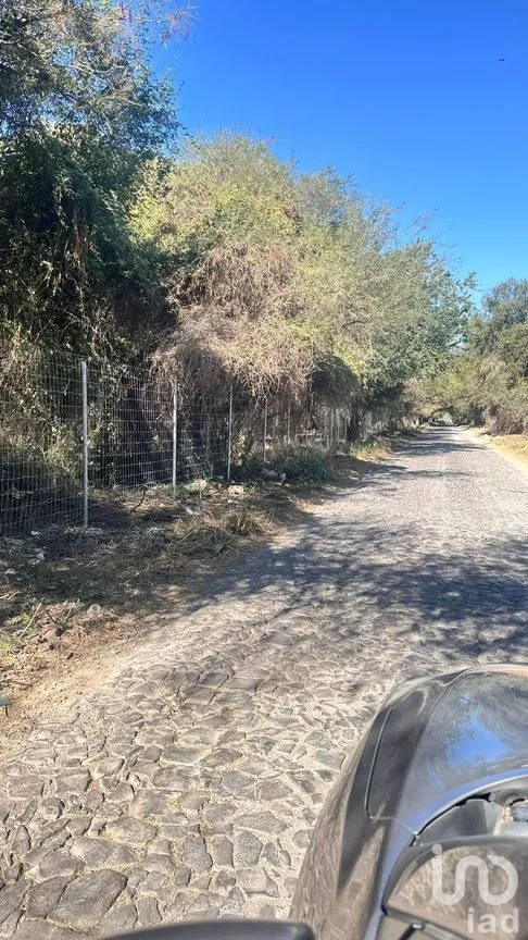 Terreno en Venta en Chapala Centro, Chapala, Jalisco | NEX-273426 | iad México | Foto 16 de 19