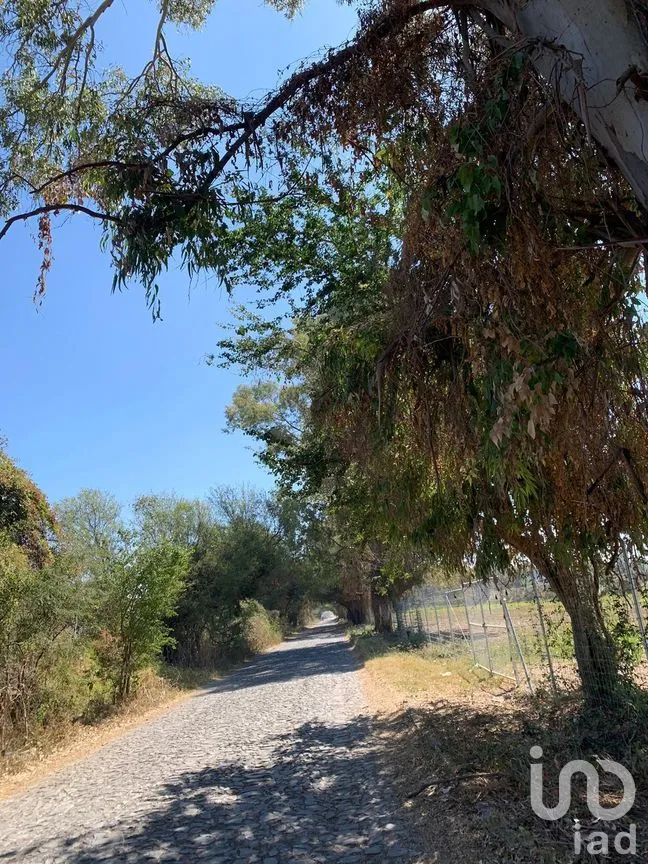 Terreno en Venta en Chapala Centro, Chapala, Jalisco | NEX-273426 | iad México | Foto 19 de 19
