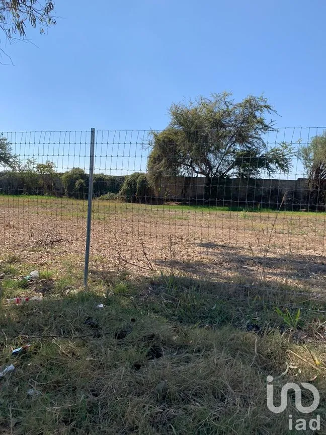 Terreno en Venta en Chapala Centro, Chapala, Jalisco | NEX-273426 | iad México | Foto 3 de 19