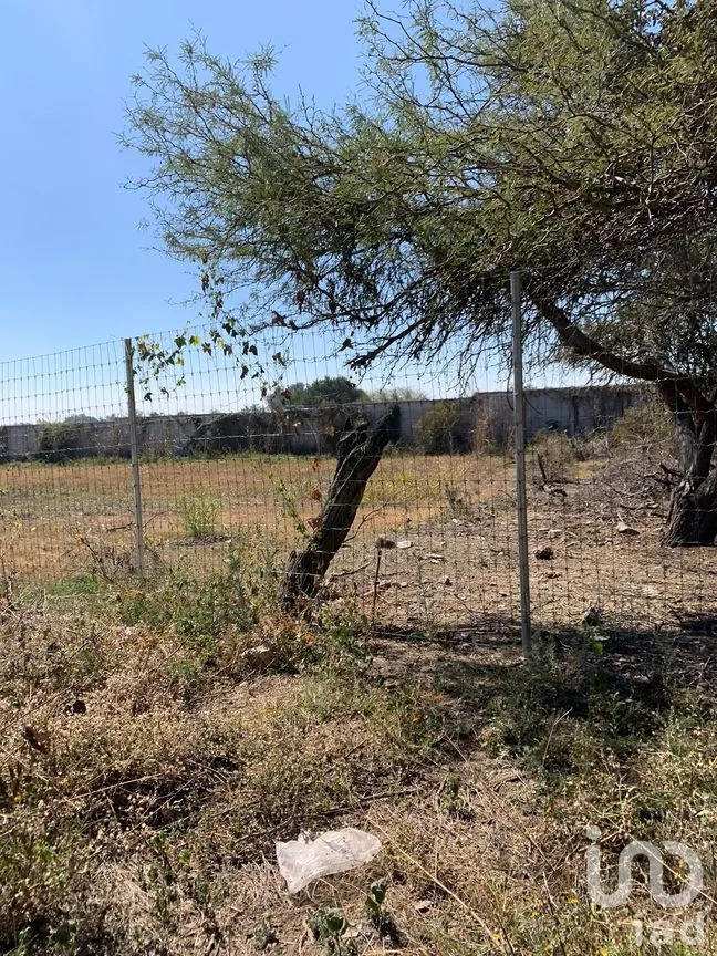 Terreno en Venta en Chapala Centro, Chapala, Jalisco | NEX-273426 | iad México | Foto 8 de 19