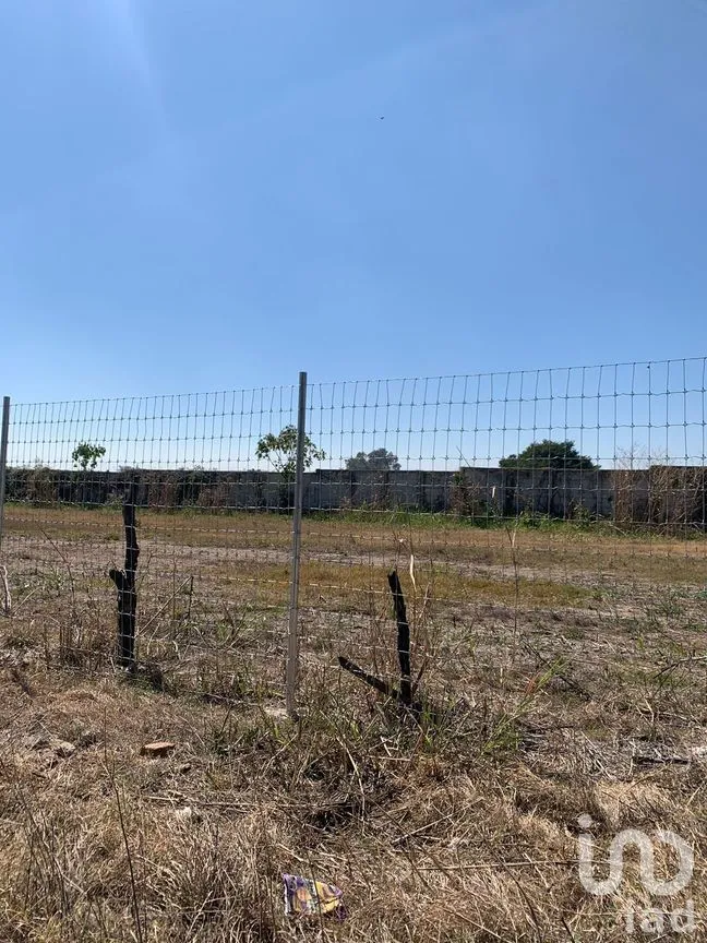 Terreno en Venta en Chapala Centro, Chapala, Jalisco | NEX-273426 | iad México | Foto 1 de 19