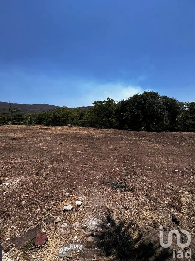 Terreno en Venta en Tuxcueca, Tuxcueca, Jalisco | NEX-273437 | iad México | Foto 7 de 24