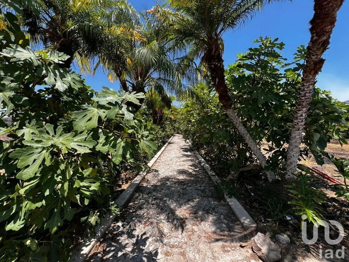 Terreno en Venta en Tuxcueca, Tuxcueca, Jalisco | NEX-273437 | iad México | Foto 10 de 24