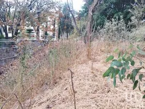 NEX-273438 - Terreno en Venta en Ciudad Bugambilia, CP 45237, Jalisco.