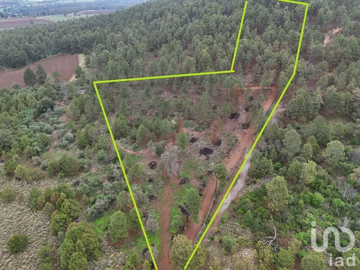 Terreno en Venta en Ferreria de Tula, Tapalpa, Jalisco | NEX-273446 | iad México | Foto 4 de 9