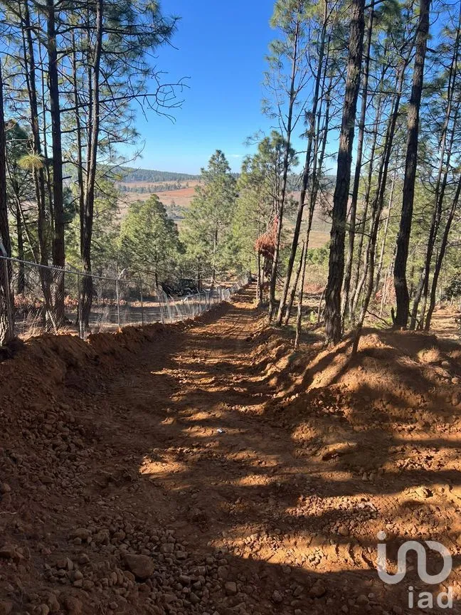Terreno en Venta en Ferreria de Tula, Tapalpa, Jalisco | NEX-273446 | iad México | Foto 5 de 9