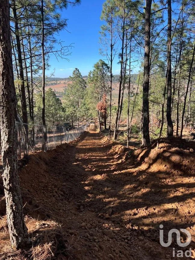 Terreno en Venta en Ferreria de Tula, Tapalpa, Jalisco | NEX-273446 | iad México | Foto 7 de 9