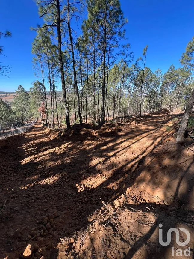 Terreno en Venta en Ferreria de Tula, Tapalpa, Jalisco | NEX-273446 | iad México | Foto 1 de 9