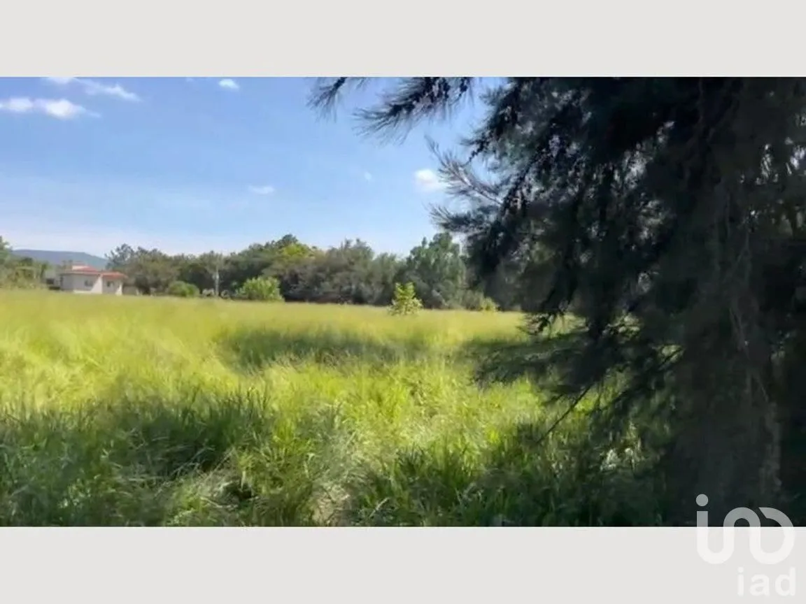 Terreno en Venta en San Isidro Mazatepec, Tala, Jalisco | NEX-273456 | iad México | Foto 13 de 14